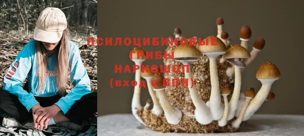 кокс Богданович