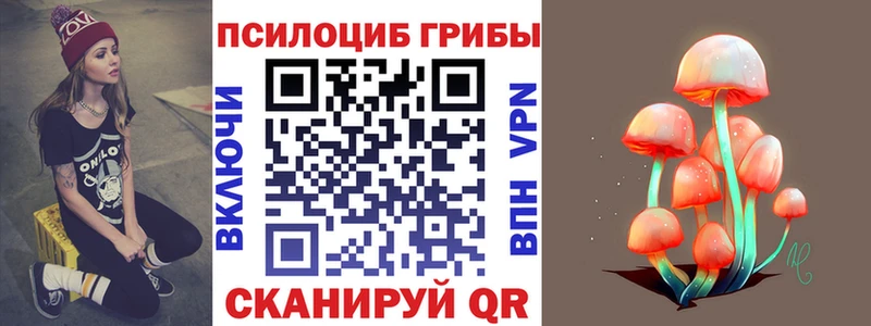 блэк спрут маркетплейс  Менделеевск  Псилоцибиновые грибы Psilocybe  купить  сайты 